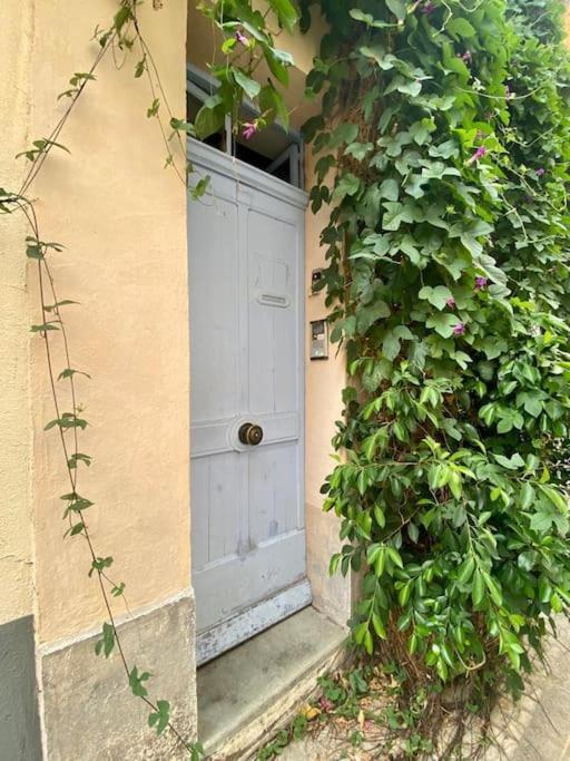 Click! Casa Lamartine Fabulous Ideal Location Walk To All!!! Cassis Luaran gambar